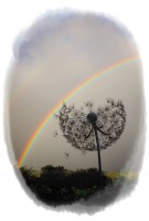 Můj oblíbený autor